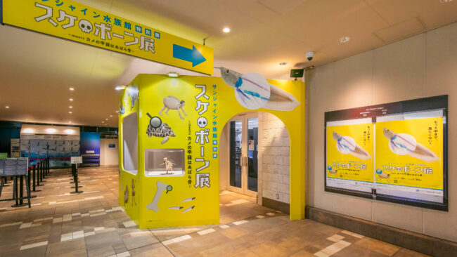 サンシャイン水族館特別展「スケ・ボーン展」